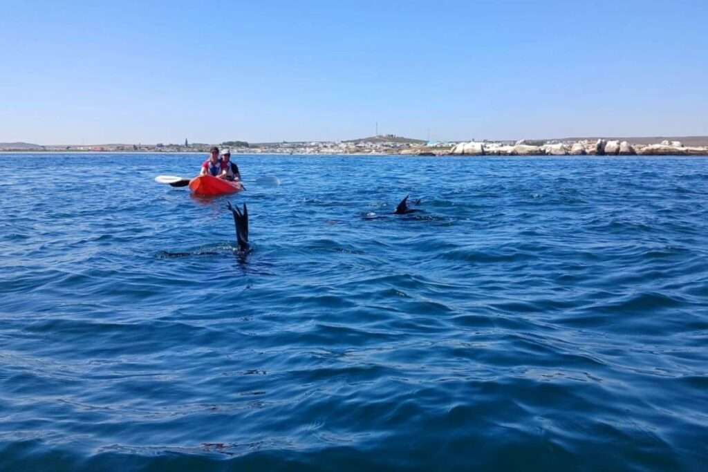 Kayak Paternoster