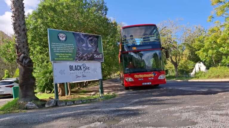 Hop On Red Bus Sightseeing