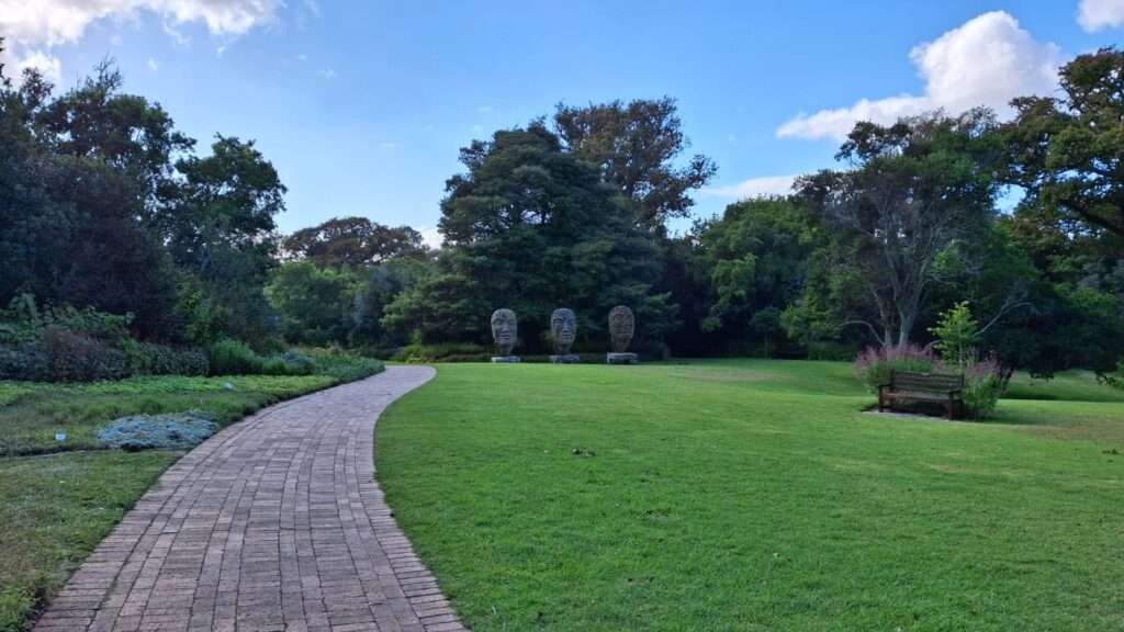 Kirstenbosch National Botanical Garden in Cape Town (22)