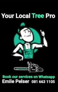 Your Local Tree Felling Pros - Cape Town