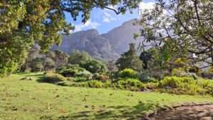 Kirstenbosch National Botanical Garden (4)