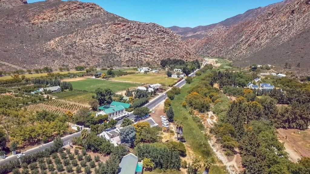 Montagu