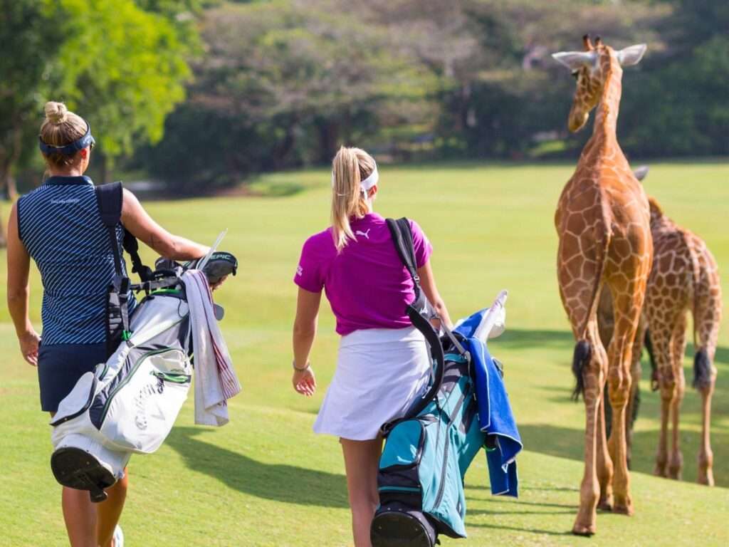B2B Golf Tours Kenya - Ascot Tours