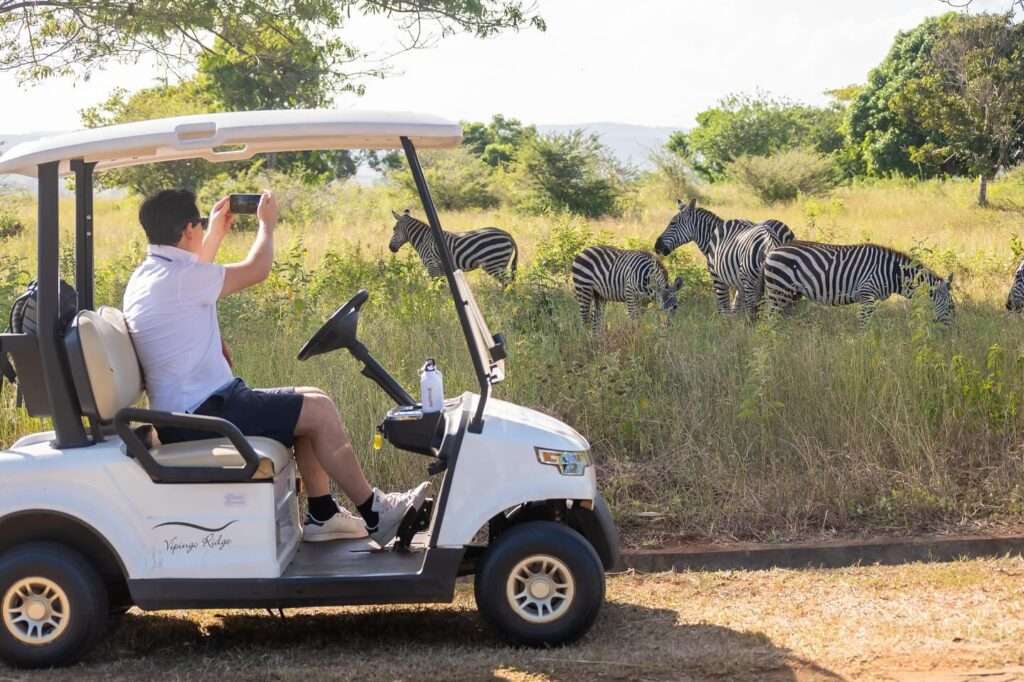 Golf and Safari Tours Kenya - Ascot Tours