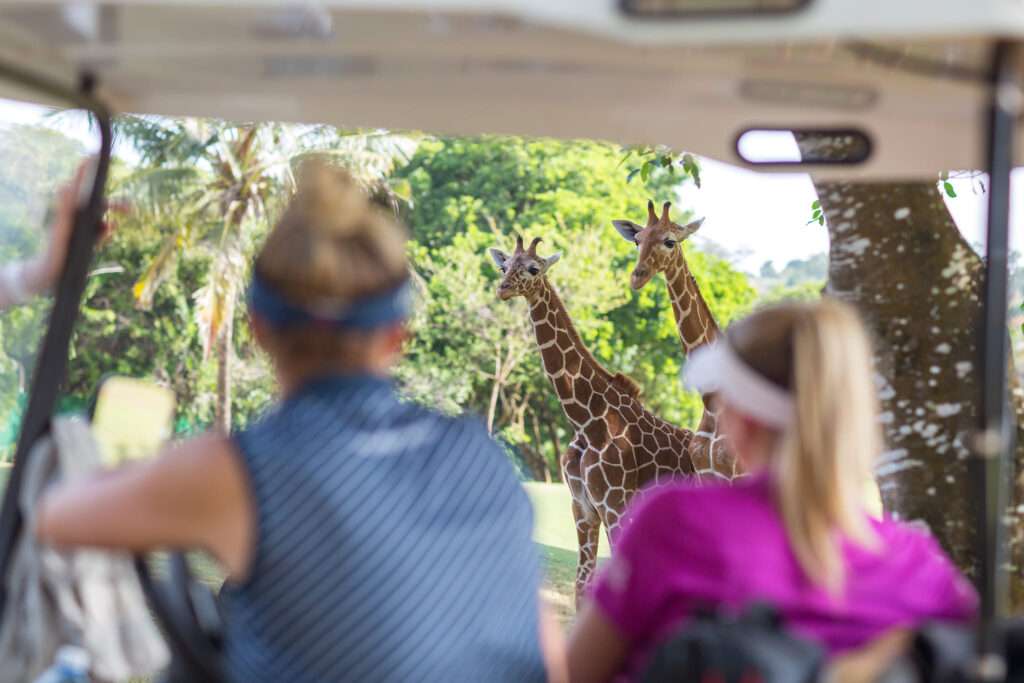 Kenya Golf Tour Operator - Ascot Tours
