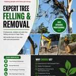 Hard Tree Fellers - Cape Town 1