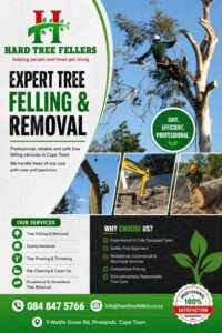 Hard Tree Fellers - Cape Town