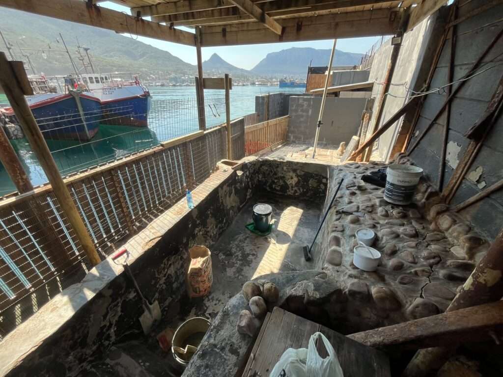 Hout Bay Seal Rescue Centre - Waterproofing (2)