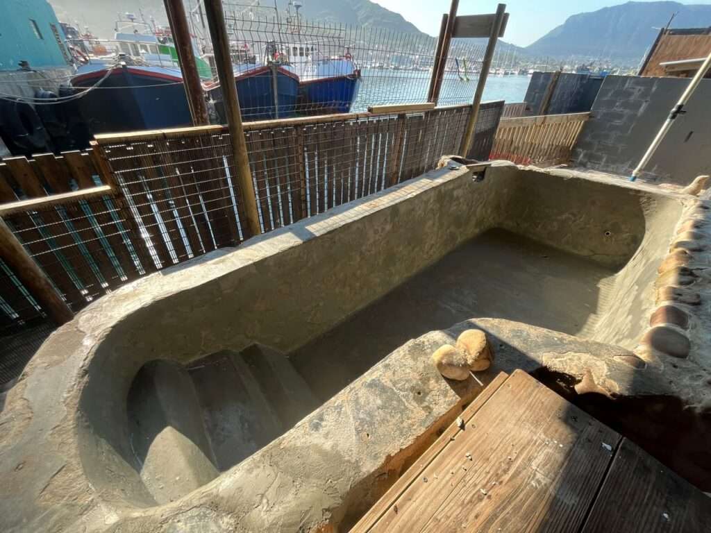 Hout Bay Seal Rescue Centre - Waterproofing (3)