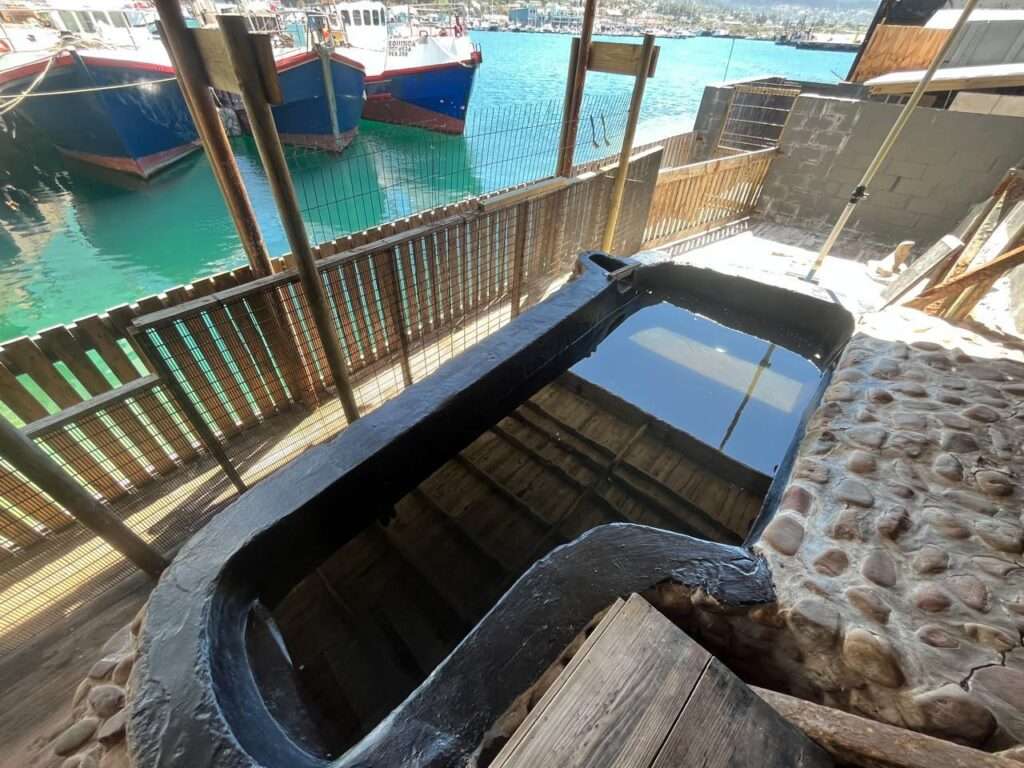 Hout Bay Seal Rescue Centre - Waterproofing (6)